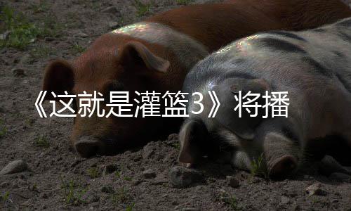 徐艺灌篮这子涵辣开就是将播 金洋热场