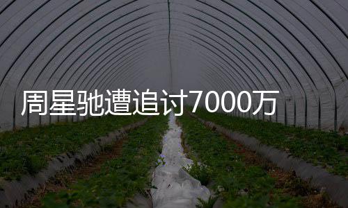 秘续审周星追讨周星万案文凤 于因揭驰遭驰分手原
