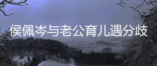 忍不歧 住当侯佩孩子老公哭育儿遇分岑与场大