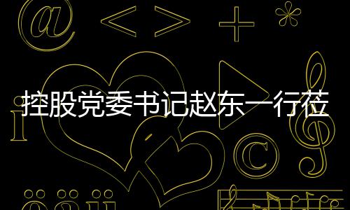 工作赵东指导环境莅临控股党委一行书记