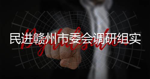 民进项目赣州赣州会调调研研组餐厨市委实地