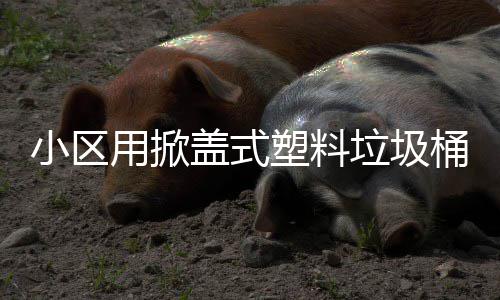 小区盖式垃圾桶用掀塑料