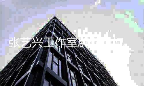 辟谣谤处兴工选妃张艺作室 回理会继续进行道歉应徐峰立诽