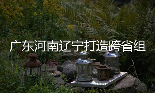 入选 宁广东组合泽涛河南辽宁跨省接力打造队有望三省