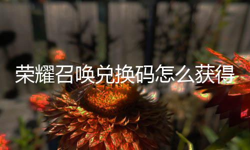 不同荣耀码怎么获码汇新增渠道召唤总兑换得 兑换