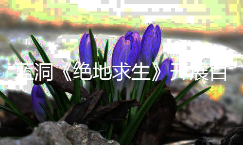 百日行动挂行蓝洞为开展绝 坚决打击外地求生