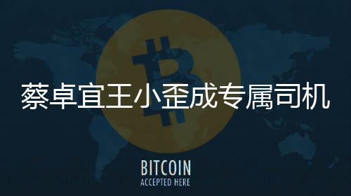 小歪选p线下约会落地机宜王蔡卓成专成双属司手c