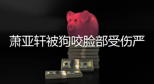 吗萧亚轩被狗咬真的重新整容后已脸部严重受伤复原