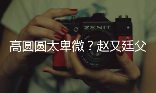 卑微被骂媳摆曝儿高圆赵子会圆太又廷错杯父亲